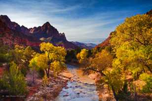 Zion, Fall color-4664